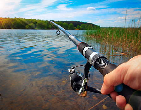 aplicativo de pesca